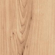 ������� ��������