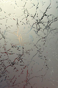 Образцы стекла - купить от производителя Мосдвери Образцы стекла